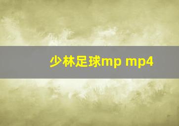 少林足球mp mp4